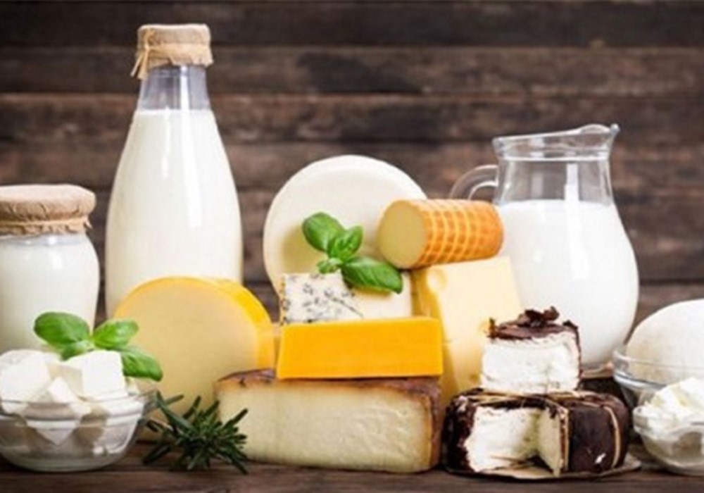 کارخانه های تولید شیر، پنیر و مواد لبنی